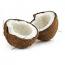 Racine vita Huile noix de coco en pot 120g