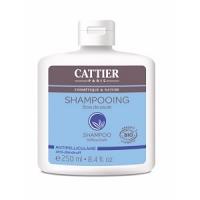CATTIER Shampooing Au Bois De Saule - Antipelliculaire 250ml