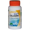 MGD collagene marin 90G